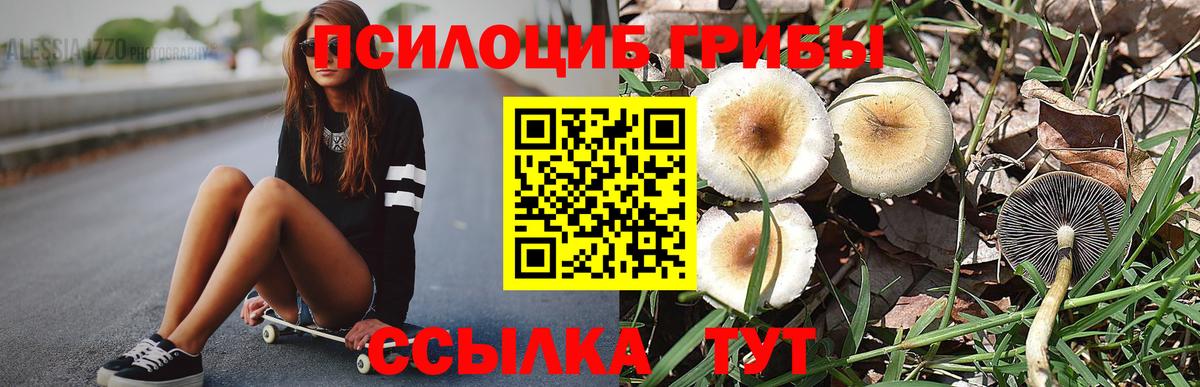 Псилоцибиновые грибы Magic Shrooms  Вход с VPN  Новый Уренгой 